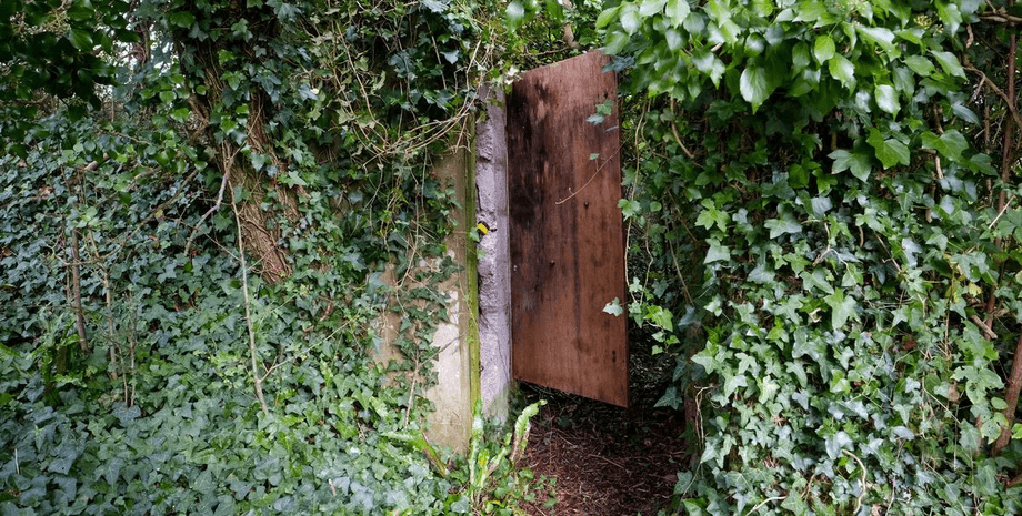 Вхід до секретного бункера, бункер, притулок, бункер часів Другої світової війни, прибрали зарості, назад у минуле, будівельники знайшли бункер