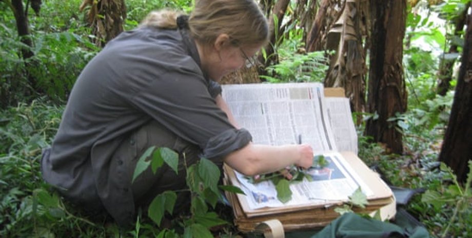 Фото: Kew Gardens