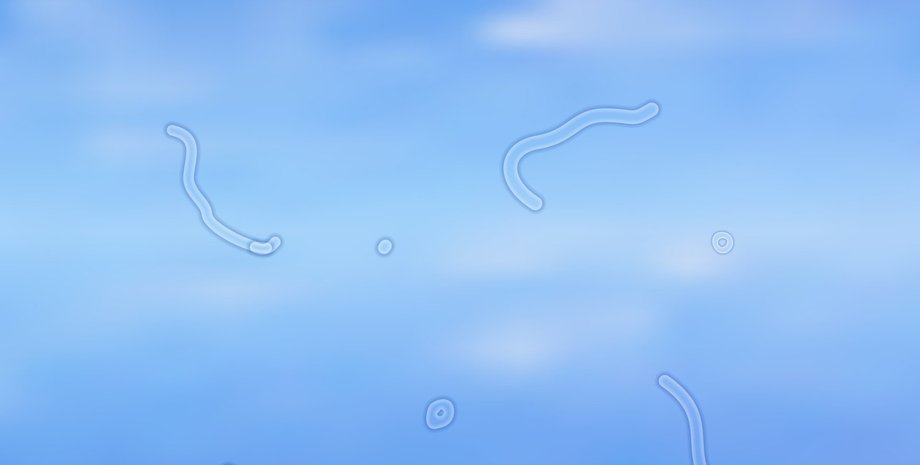 плаваючі "мушки", небо, фото