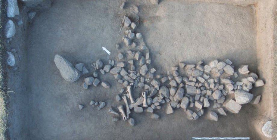 Археологи знайшли найдавніше поховання в країні