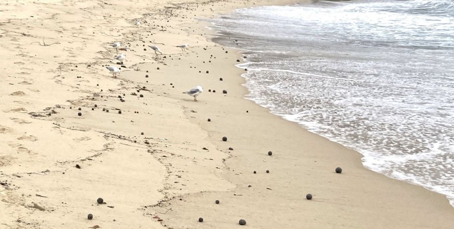 Австралийские пляжи были закрыты из-за таинственных шариков австралия, австралийские пляжи, шарики на пляже