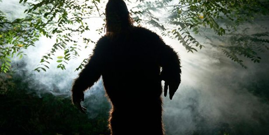 снежный человек, йети, сасквоч, бигфут