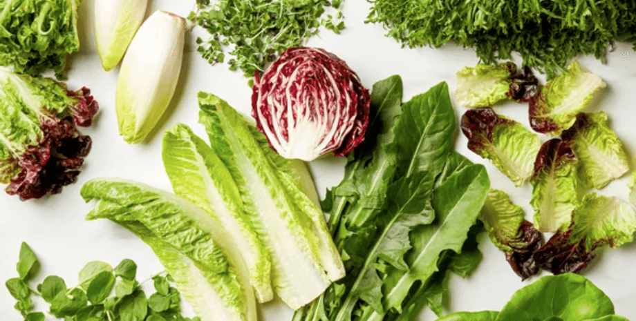 виды салатов, где купить салаты, как использовать салаты