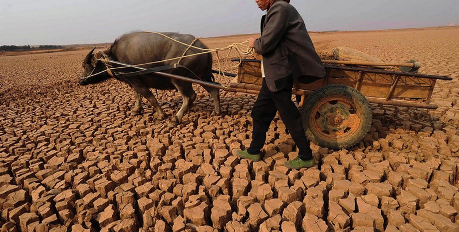 Фото: rusecounion.ru