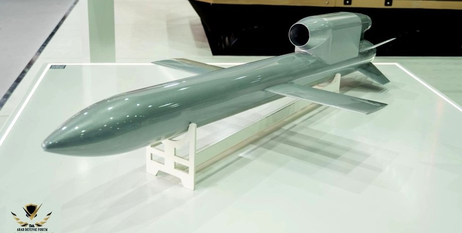 Денис Шмыгаль, министерство обороны, ракета Фламинго