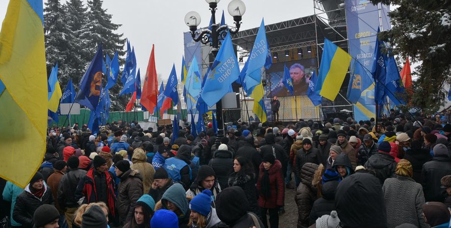 антимайдан, Революция Достоинства