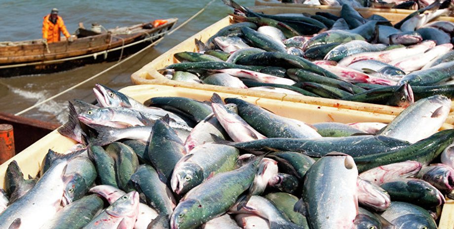 Фото: РИА Новости