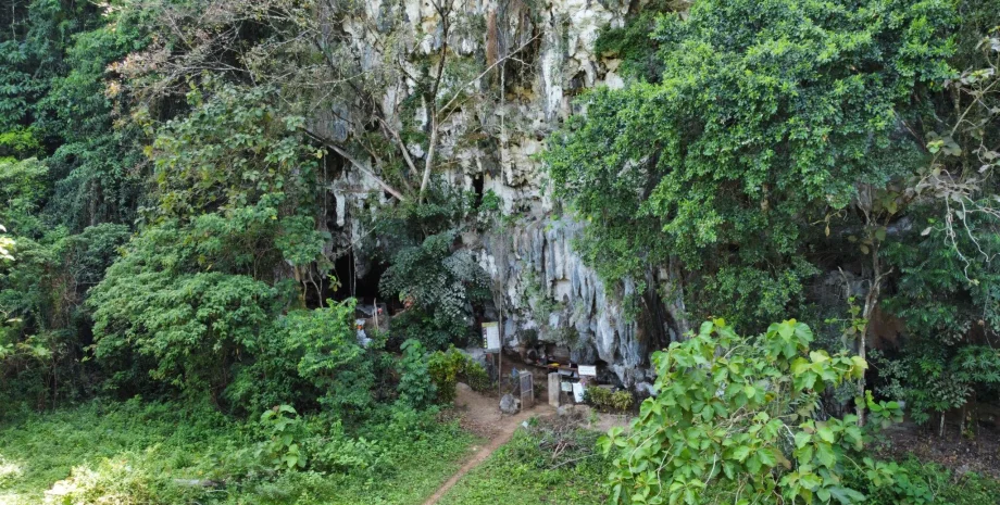 Вчені знайшли малюнки на острові Сулавесі