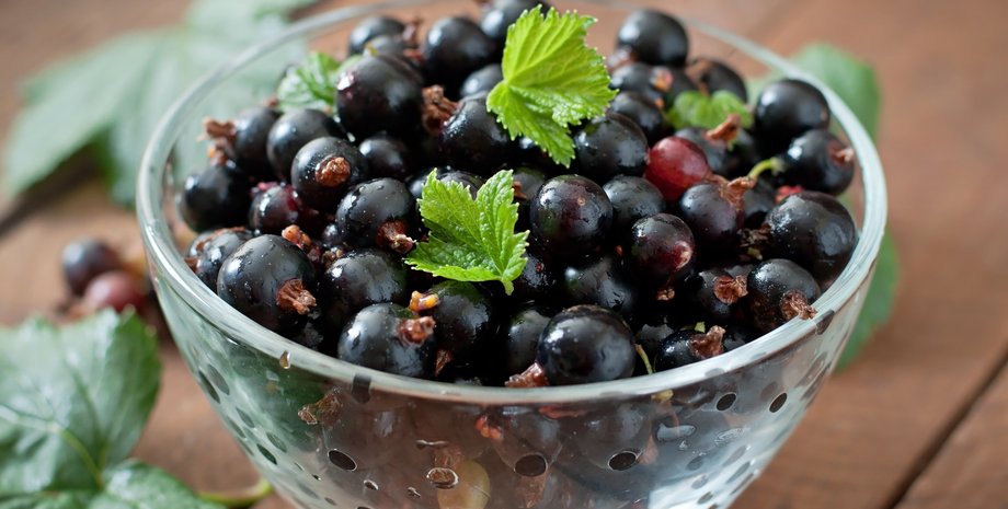 Черная смородина - лидер по содержанию витамина С