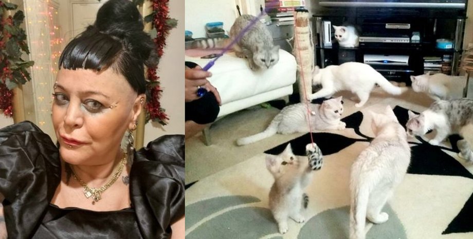 Женщина, кошки, домашние животные, питомцы