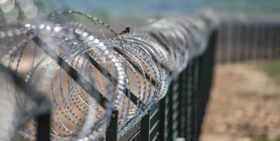 Иллюстративное фото