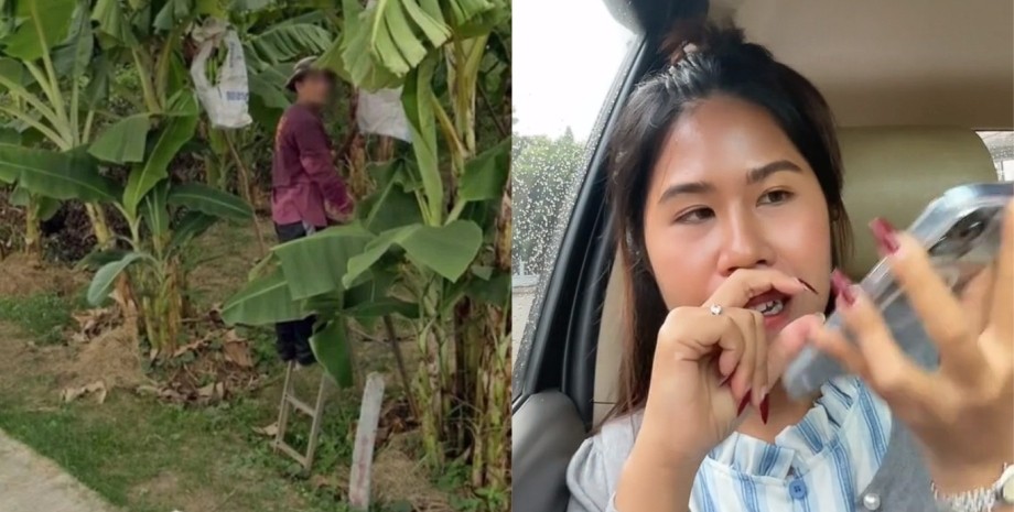 Тайська дівчина, дівчина побачила покійного батька, через півроку, Google Maps, покійний член сім'ї, побачила в саду, попрощалася з батьком