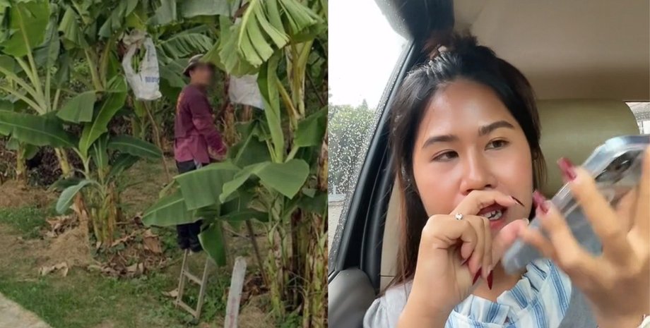 Тайская девушка, девушка увидела покойного отца, спустя полгода, Google Maps, покойный член семьи, увидела в саду, простилась с отцом