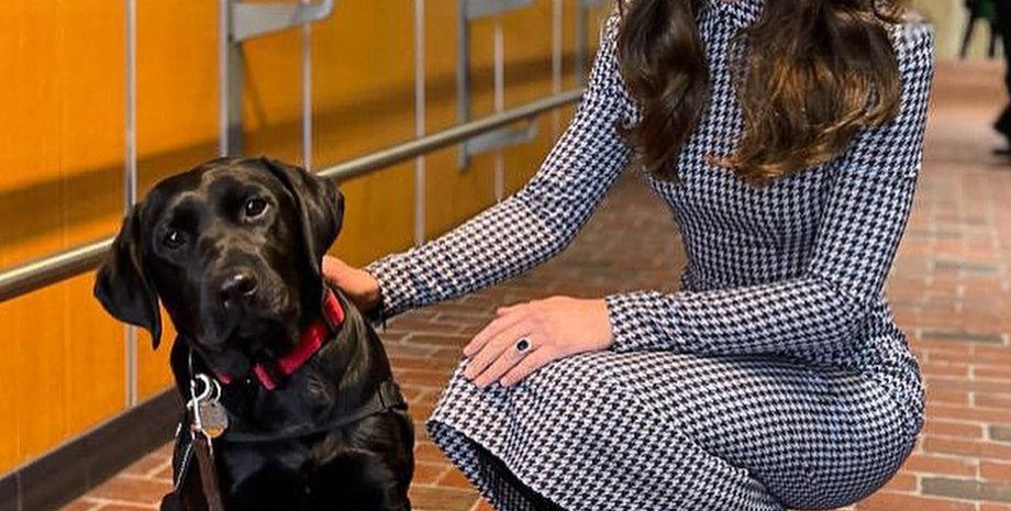 кейт міддлтон, принц Вільям, принцеса Уельська, кейт Міддлтон в США, принц Уельський в США