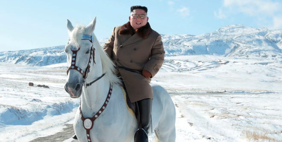 Nach Angaben von Journalisten wurden 24 Pferde durch die Landgrenze zu Nordkorea...