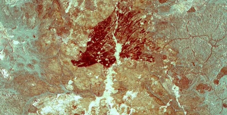 свиньи наскальная живопись