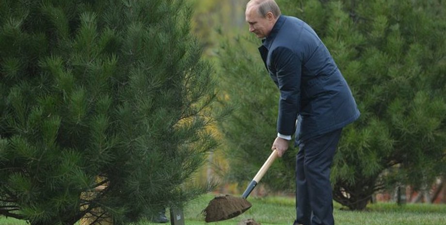 Владимир Путин / Фото: пресс-служба Кремля