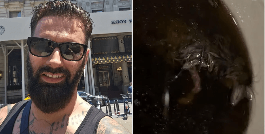 Мышь в супе, еда, китайская еда, мышь, грызун, что-то в еде, крыса в еде, суп, еда на вынос, заказала еду