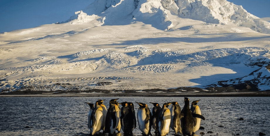 взаємні мита трампа, трамп ввів мита для країн, президент сша