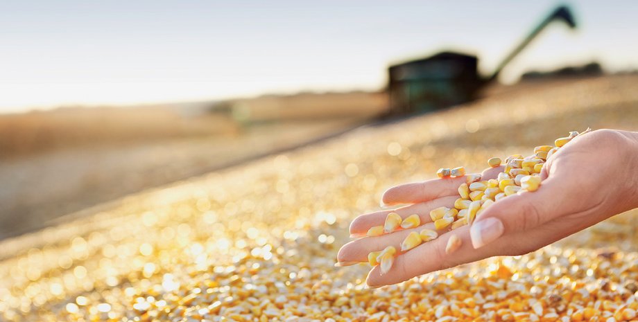 Фото: Getty Images