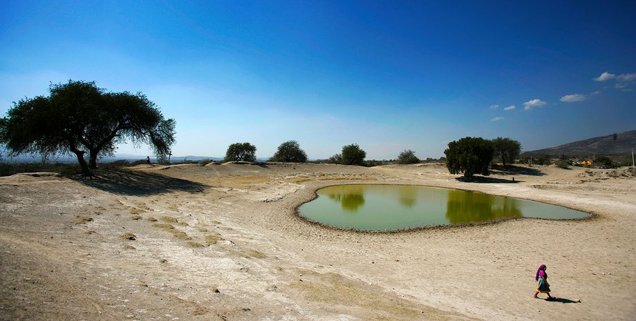 Фото: Brent Stirton / Staff / Getty Images