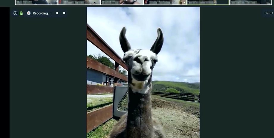 Фото: Sweet Farm