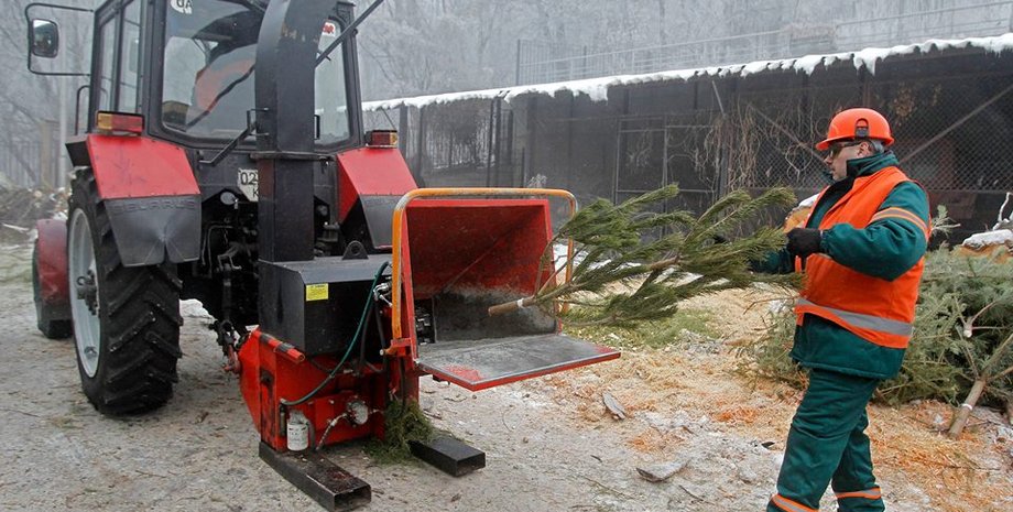 Фото: facebook.com/zelenbud