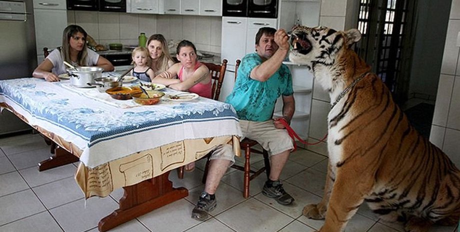 Фото: Пустунчик