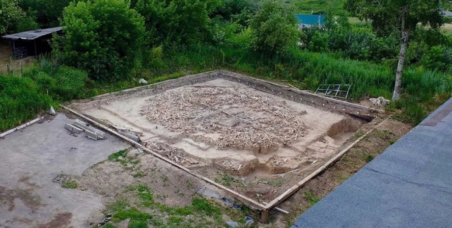 Фото: Pryor/Antiquity