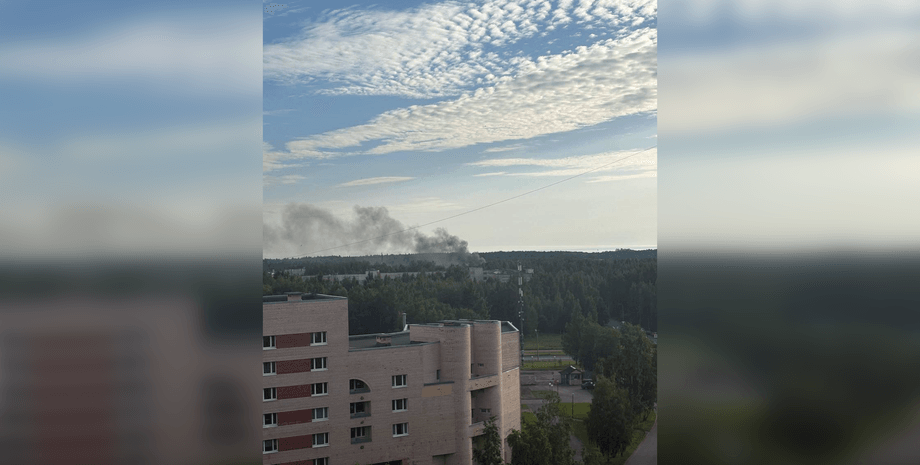 Дрони дісталися Петербурга: у Кронштадті зупиняли автобусні маршрути