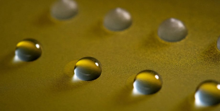 заморозка гриб