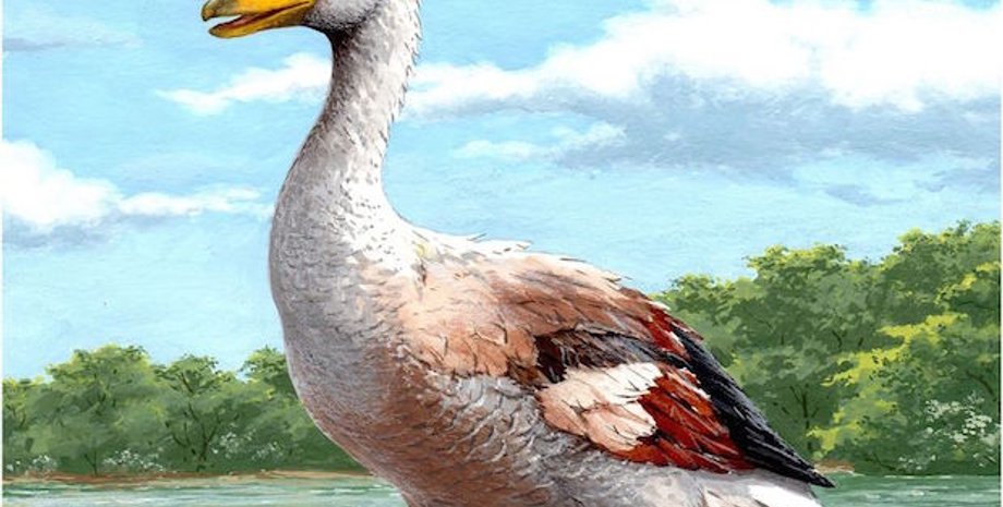 Иллюстрация: The Royal Society Publishing