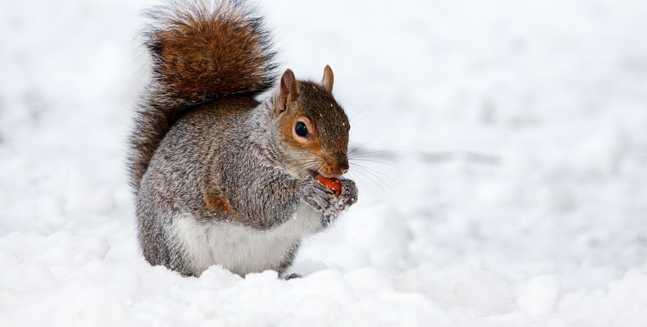 погода на завтра, погода 17 лютого, прогноз погоди на завтра