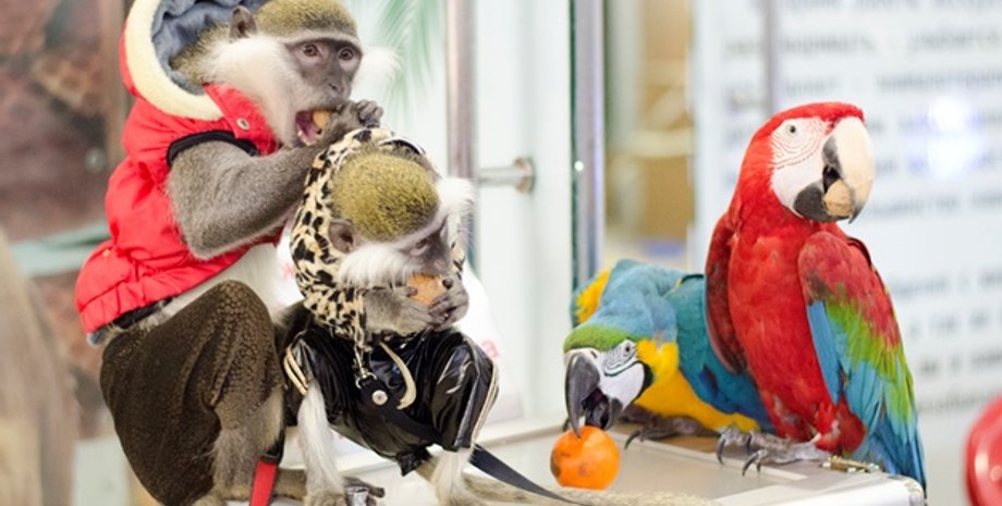 Фото: Укринформ