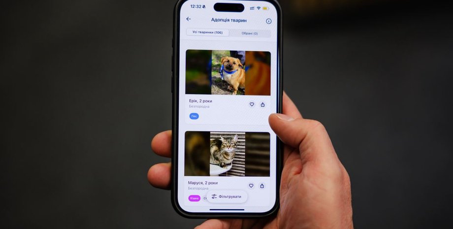 Киев Цифровой, приложение Киев Цифровой, Адопция животных, сервис Адопция животных, функция Адопция животных, бездомные животные, взять животные из приюта