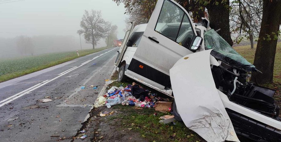 ДТП Польща, аварія Польща, загинули українці, загинули українці Польща, смертельна ДТП, смертельна аварія