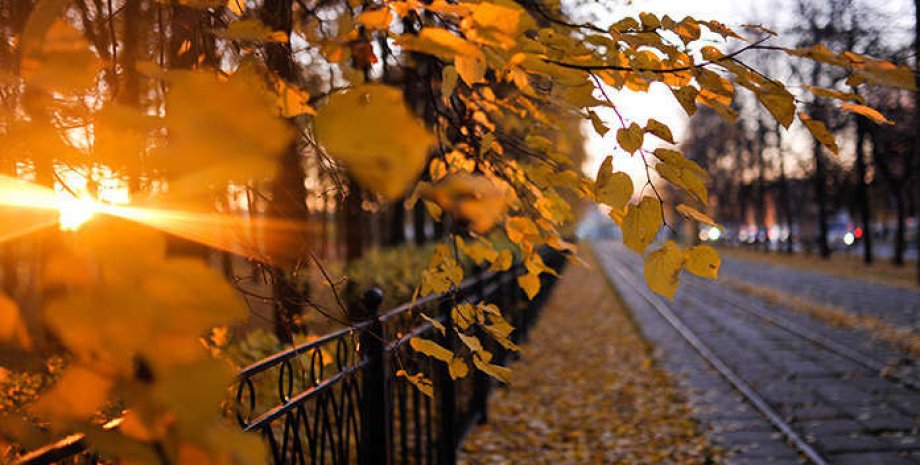 Погода в ноябре, погода осенью, желтые листья, теплая осень