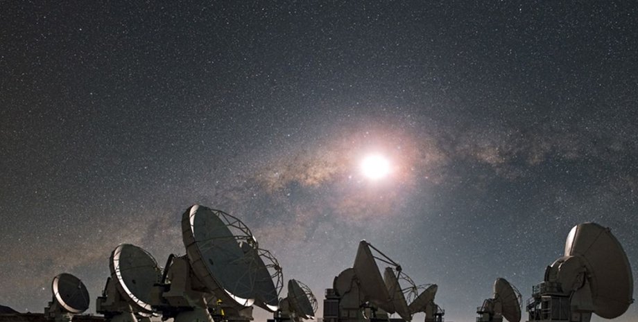 Фото с сайта Trashbox