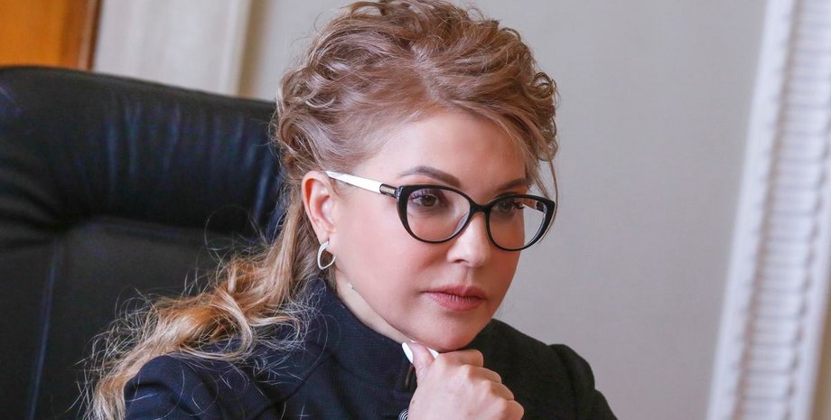 Юлия Тимошенко, Батькивщина, декларация, доходы, 2020 год,