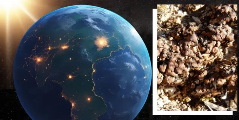 планета внеземная жизнь