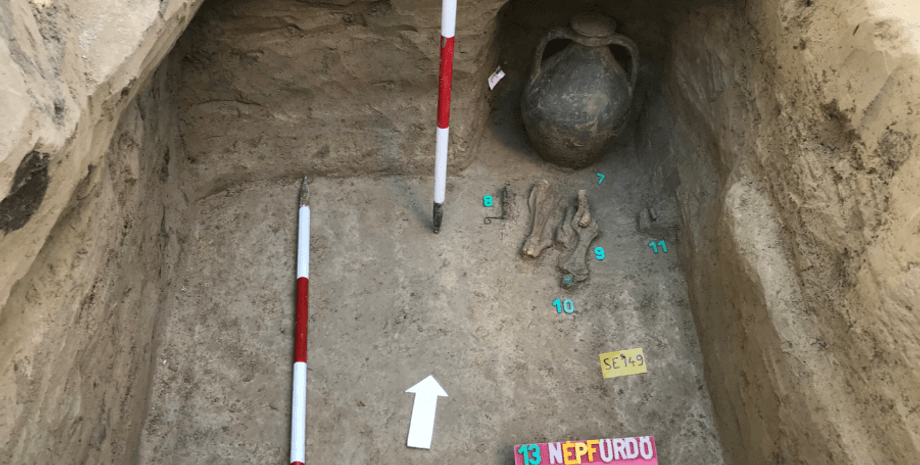 гуни, Азія, Європа, ДНК, Хунну, імперія, поховання, дослідження, степи, Карпатський басейн, Євразія, міграція, популяція