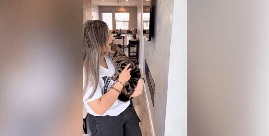 Кіт з господинею