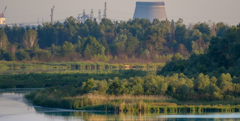 Чернобыльский заповедник