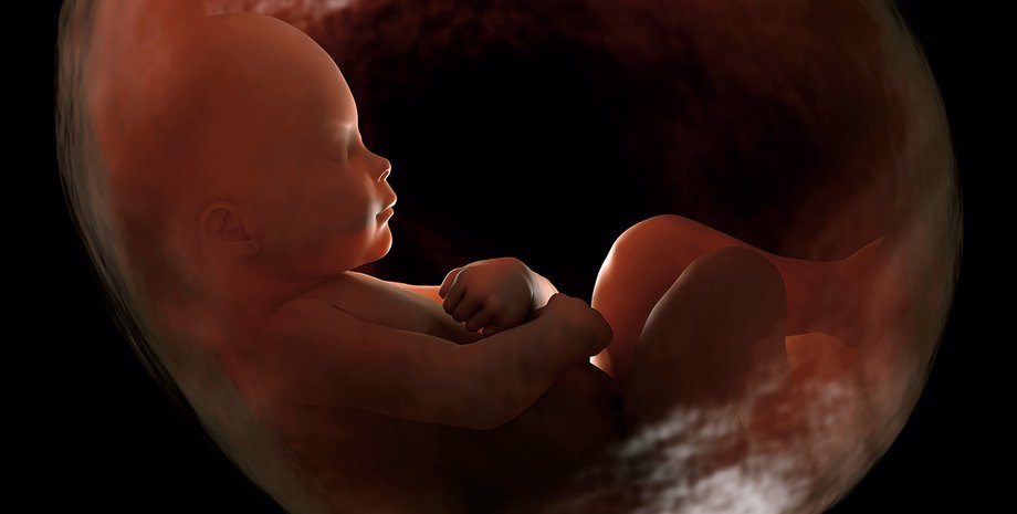 Фото: Getty Images