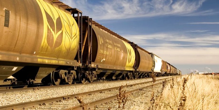 Фото: Сфера