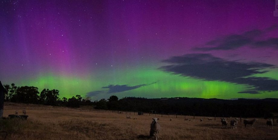 Фото: Megan Rodger/bbc.com