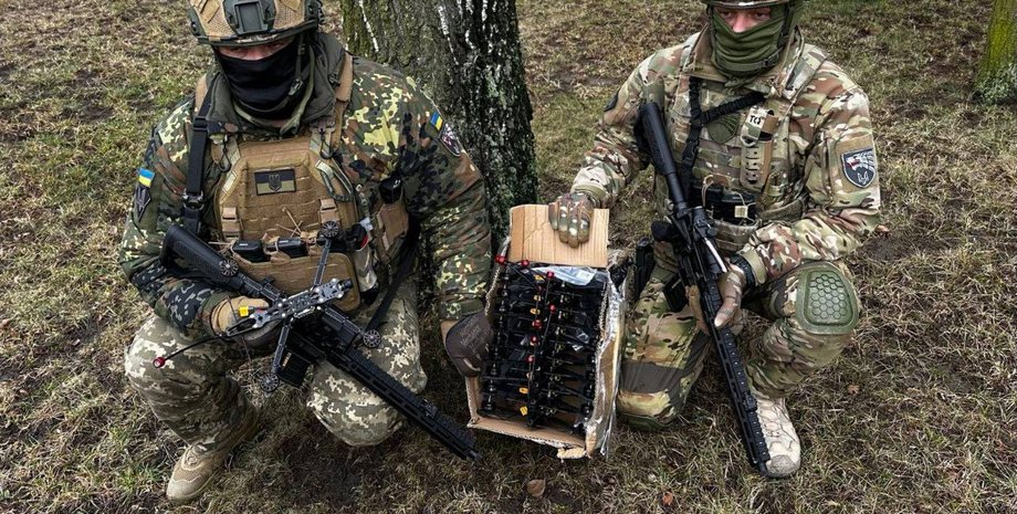 Дрони Дикі Шершні