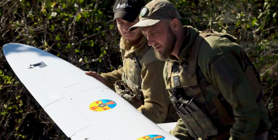 Las fuerzas armadas notaron las fortalezas del dron francés. UAV patrulla el ter...