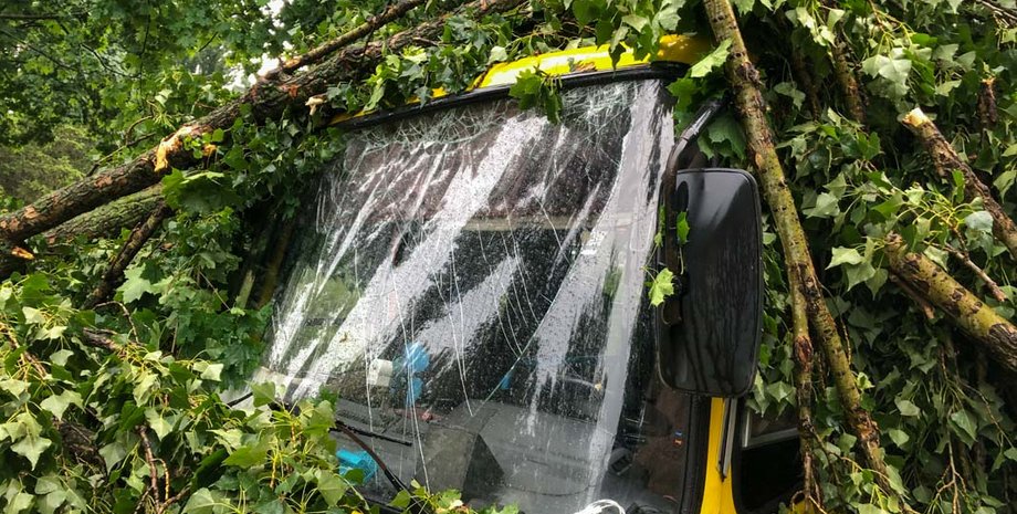 Фото: Информатор