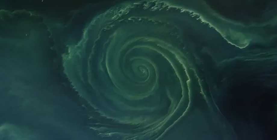 зеленая спираль, спираль в балтийском море